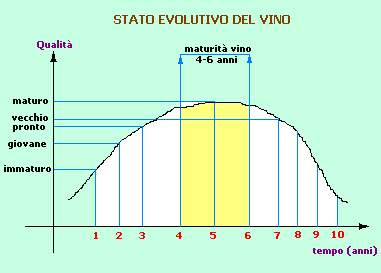 STATO EVOLUTIVO DEL VINO